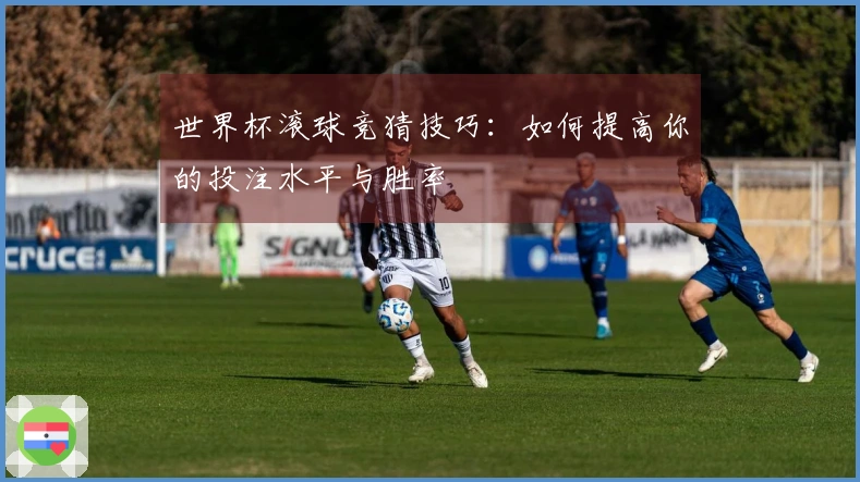 世界杯滚球竞猜技巧：如何提高你的投注水平与胜率