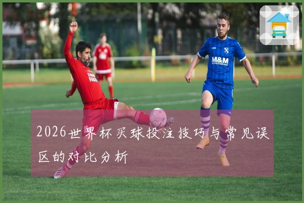 2026世界杯买球投注技巧与常见误区的对比分析