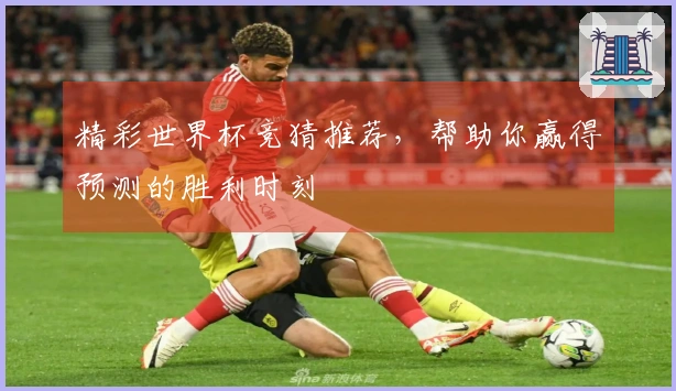 精彩世界杯竞猜推荐，帮助你赢得预测的胜利时刻