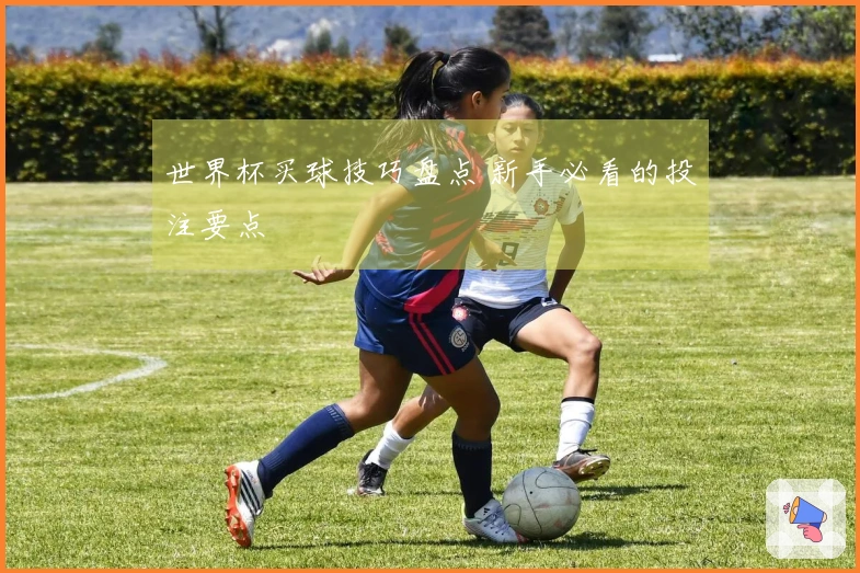世界杯买球技巧盘点 新手必看的投注要点