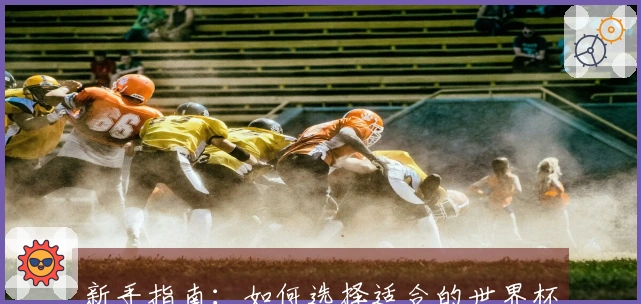 新手指南：如何选择适合的世界杯滚球竞猜平台