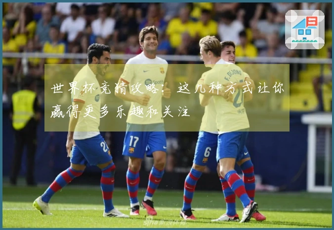 世界杯竞猜攻略：这几种方式让你赢得更多乐趣和关注