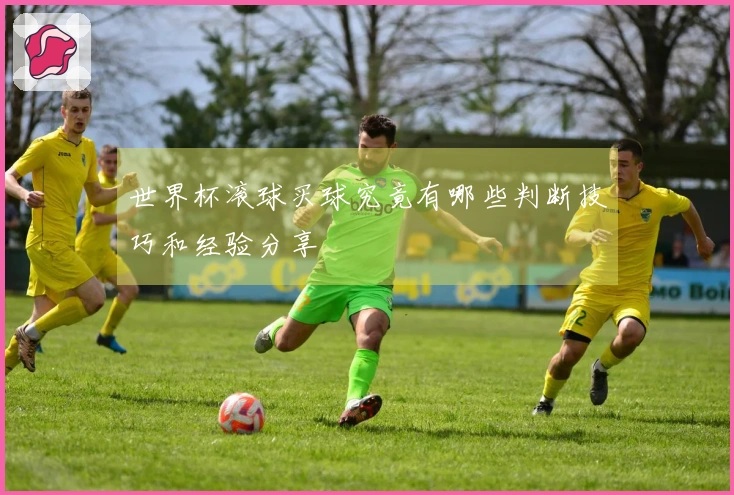 世界杯滚球买球究竟有哪些判断技巧和经验分享